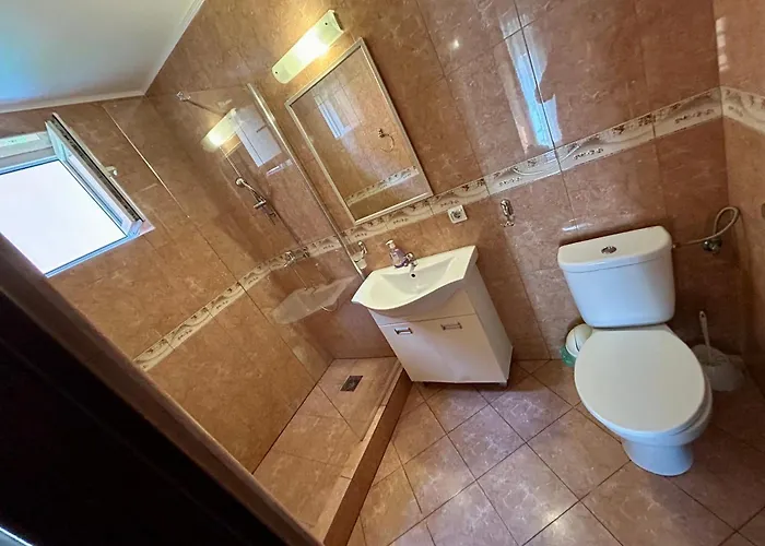 Gasthuis Pensiunea Regalux 3*